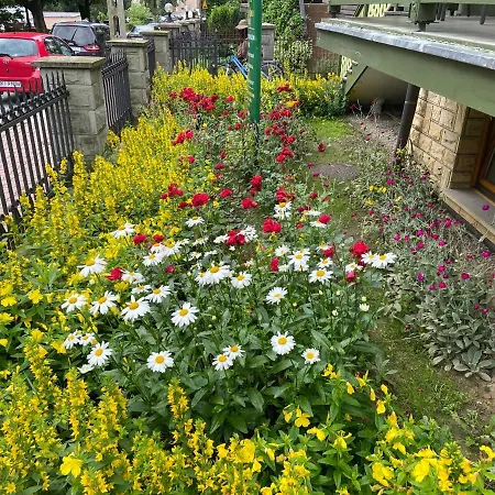 Grant 3* Krynica-Zdrój