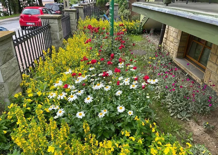 Grant 3* Krynica Zdrój